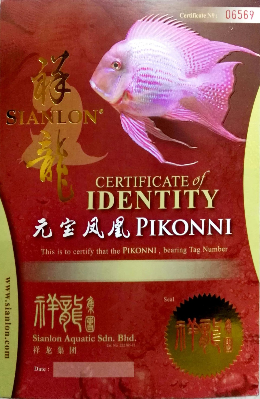 Gandaki CERTIFICATE of DENTITY  PIKONNI